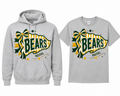 Vestal Bears Pennant