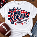 Chenango Forks Blue Devils Pennant